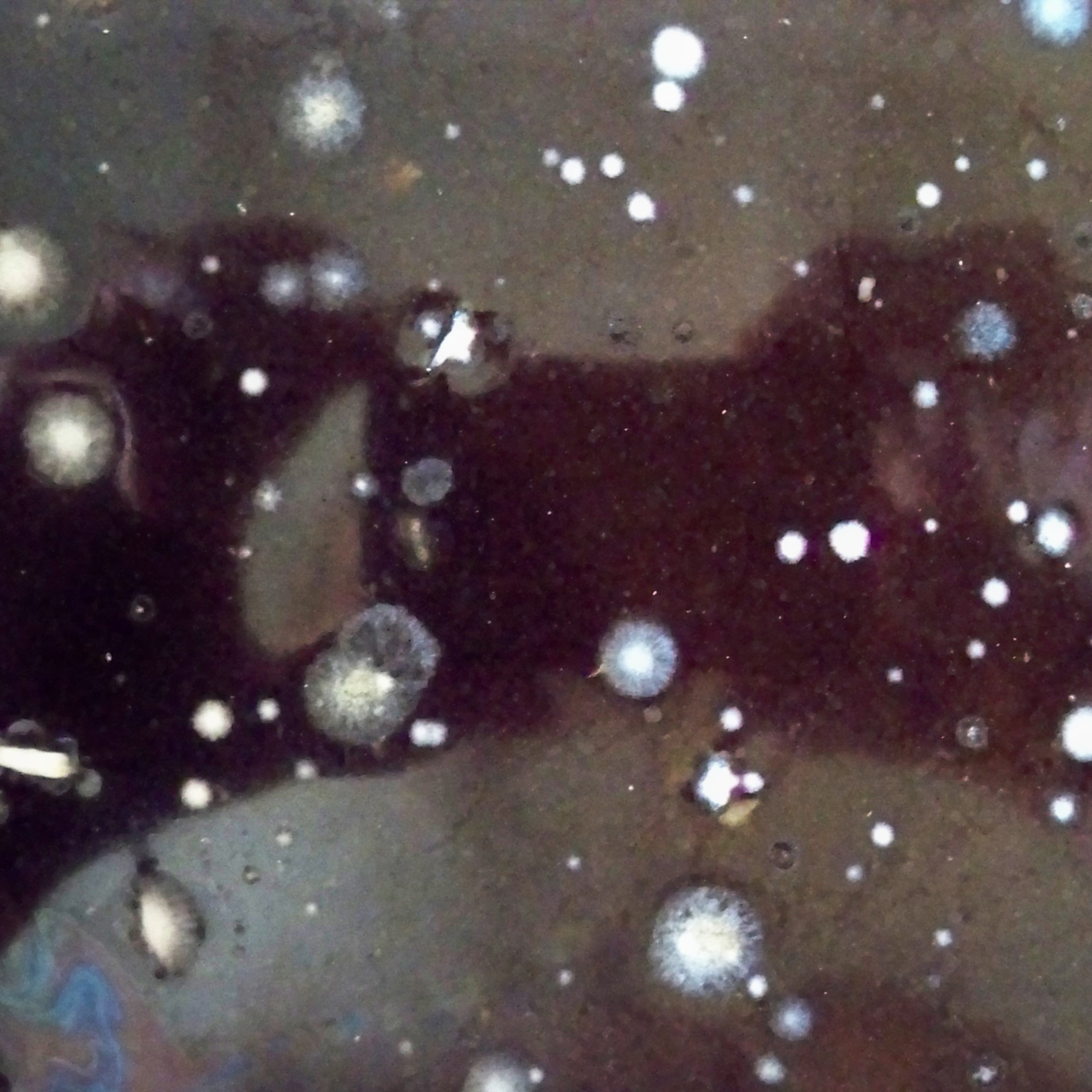 Ollivier Coupille – Travaux en cours.